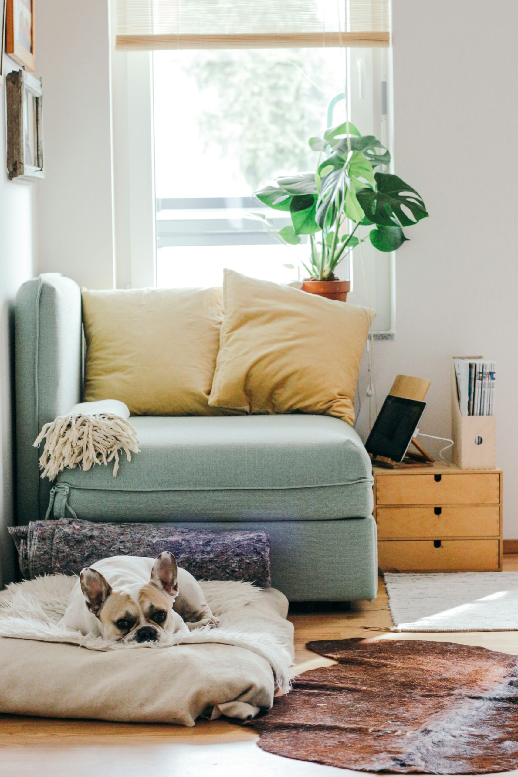 Stayrene’s Secret to Maintaining 5-Star Ratings for Your Vacation Rental