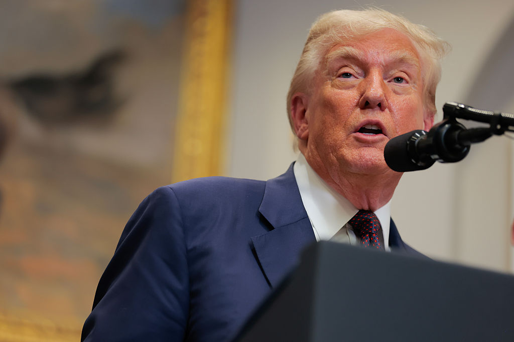 Trump Administration May Not Challenge State AI Regulations After All – Mirror Brief