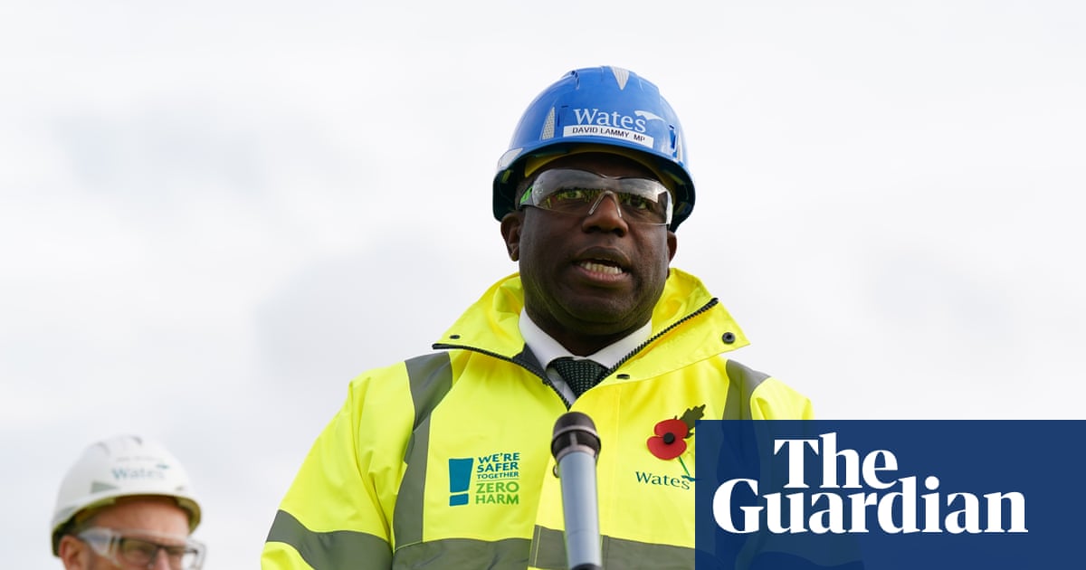 Lammy Asserts It Was Wise Not to Address Erroneously Released Inmate at PMQs – Mirror Brief